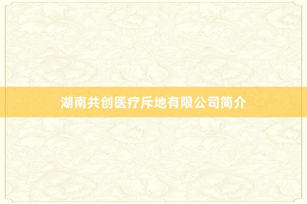 湖南共创医疗斥地有限公司简介