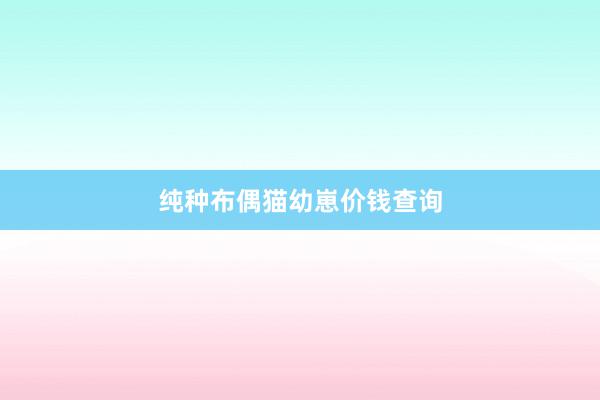 纯种布偶猫幼崽价钱查询